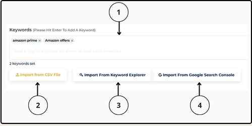 Keyword import in Ranklogs Rank Tracker